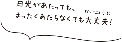 日光があたっても、まったくあたらなくても大丈夫！