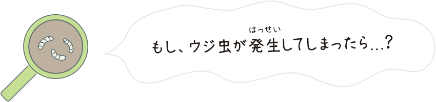 もし、ウジ虫が発生してしまったら...？